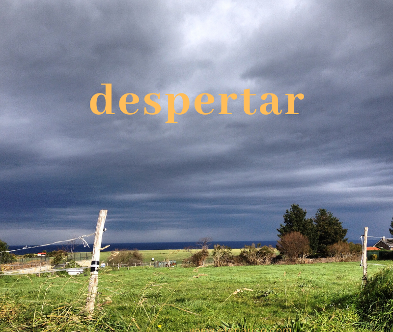 El arte de Observar