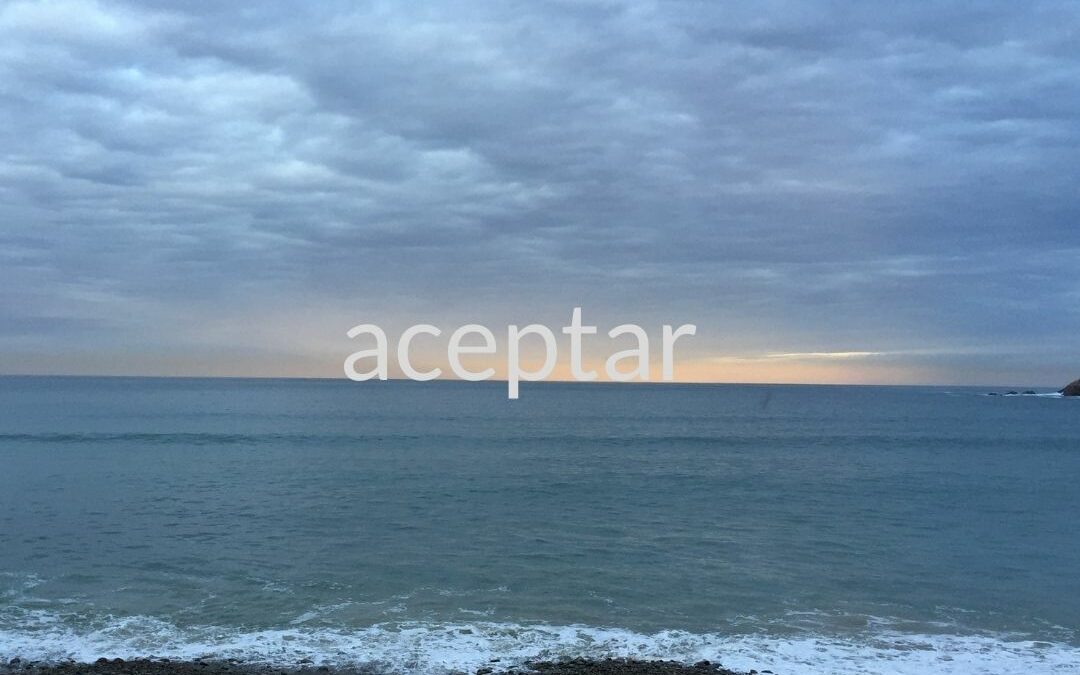 Salir adelante