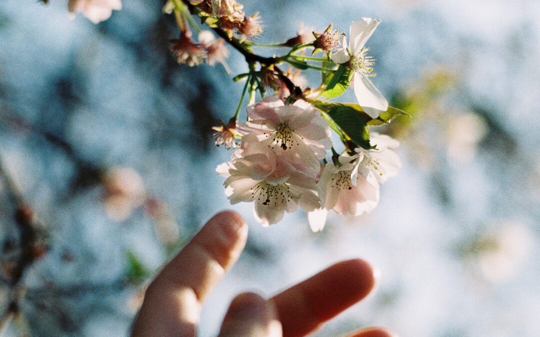 Dejar ir y gritar, métodos terapia, Elena Rico, mindfulness, Asturias