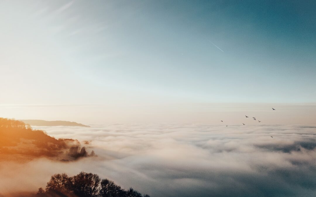 Amar lo que es, libro sobre aceptación, Elena Rico, mindfulness, Asturias